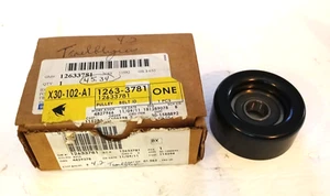 GM 12633781 Pulley Assembly, Belt Idler 2002-2009 GM Replaces 24576968 NEW - Bild 1 von 2