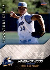 2017 Myrtle Beach Pelicans Choice #21 James Norwood New York NY Baseball Card