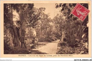 AGJP2-0134-45 - OLIVET - Camino Del Bordo Del Loiret - Cerca Del Pavillon Azul - Imagen 1 de 2