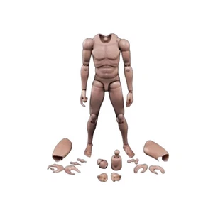 MX02-A 12inch Europe Skin Male Action Figure Body Fit For 1/6 Head Sculpt Toys - Picture 1 of 14