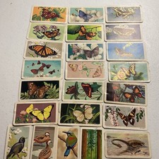 Brooke Bond/ Red Rose Tea Cards From The 60s Butterflies, Birds Dinosaur