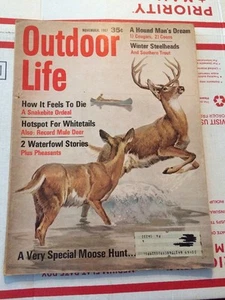 OUTDOOR LIFE Hunting And Fishing Magazine NOVEMBER 1967 Deer Cover Art - Picture 1 of 2