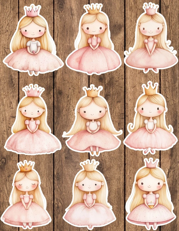 Juego de pegatinas de vinilo corte princesa en rosa álbum de recortes portátil botella de agua  Foto 1 de 1