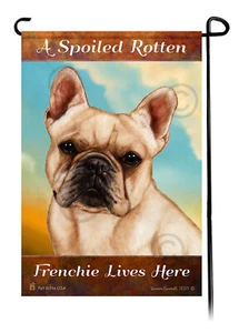 A Spoiled Rotten Cream Frenchie vive aquí - Imagen 1 de 1