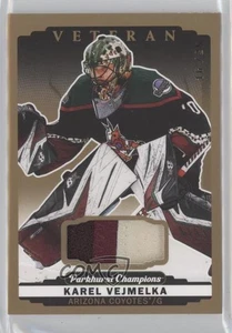 Parche 2022-23 Upper Deck Parkhurst Champions/25 parche Karel Vejmelka #238 - Imagen 1 de 3