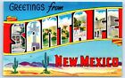 POSTCARD Greetings from Santa Fe New Mexico Large Letter Cactus