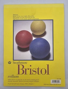Strathmore 300 Series Bristol Vellum 9 In. X 12 In. (342-109) NEW - Picture 1 of 7