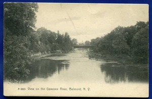 View on the Genesee River Belmont New York Rotograph Postcard - Picture 1 of 2