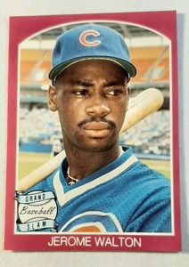 1989 Chicago Cubs Star  Jerome Walton / Major League Stats                  (TT)