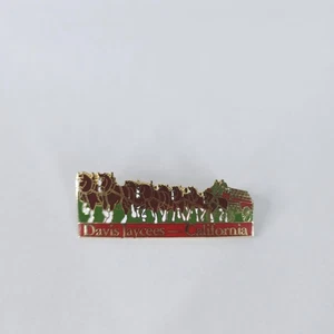 Vintage Davis Jaycees California Pin Lapel Badge Horse Drawn Wagon Rare Collecti - Imagen 1 de 5