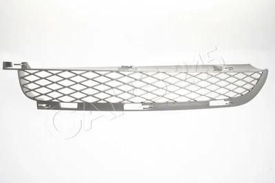 Parrilla de parachoques delantera derecha Titan Silver genuina para BMW X5 E53 2003-2005 Facelift Foto 1 de 3