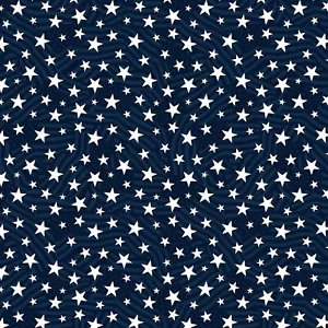 Wilmington Prints - Stars Of Valor - Stars & Stripes Allover - Navy, BTY - Picture 1 of 8