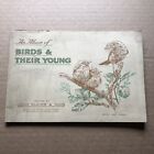 Cigarette Cards - Birds & Their Young [Players] - See Description (E3)