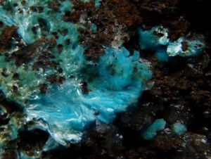AURICHALCITE rare specimen & beautiful colour TURKEY Bursa - Uludağ Mine /pj172 - Picture 1 of 11