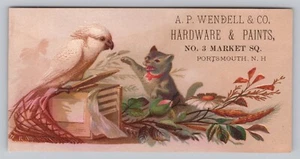 Cat and White Cockatoo Playing Portsmouth NH Wendell Hardware & Paint Trade Card - Picture 1 of 2