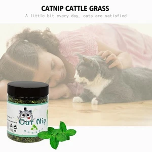 20g Natural High Quality Catnip Cattle Grass Mint Taste φ◇ 9Best Funny Toy Q9X5 - Picture 1 of 10