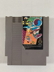 Town & Country Surf Designs: Wood & Water Rage, Nintendo NES, Tested