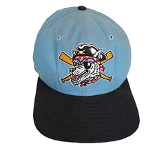 Vintage Erie Seawolves Hat New Era USA Minor League Baseball Snapback Cap 80s