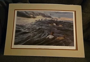 Ron Van Gilder "Windward - Canvasbacks" Artist Proof - #12/150 - Picture 1 of 5