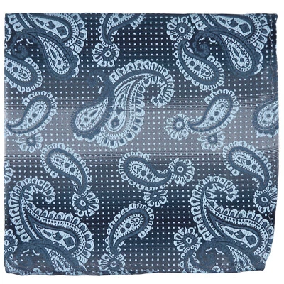 New Men's poly Pocket Square Hankie Handkerchief blue paisleys formal wedding - Изображение 1 из 2