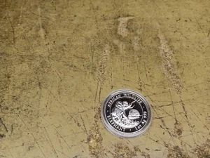 Somali , 2009 , 100 Shillings , 1 Unze Silber , Elefant - Bild 1 von 1
