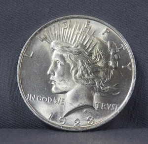 Moneda de dólar de plata de la paz de 1923 $1 ¡Bonita! Eagle - Imagen 1 de 10