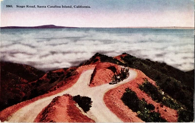 Stage Road Santa Catalina Island California 1919 Postcard - Dirt Road Stagecoach - Image 1 of 2