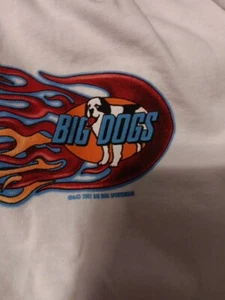 NEW BIG DOG LONG SLEEVE SHIRT With Flame DESIGN ON SLEEVES S/M - Picture 1 of 11