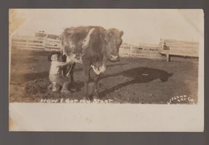 Aberdeen SOUTH DAKOTA RPPC 1908 BOY MILKING COW Milk LEELAND ART CO. Cute! SD - Picture 1 of 3