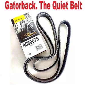 NUEVO Cinturón Serpentine Poly-V The Quiet Belt "Gatorback" CONTINENTAL ELITE 4060875 - Imagen 1 de 8