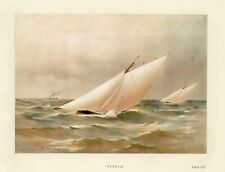 Henry Shields Famous Clyde Yacht "Cyprus" - Authentic 1888 Chromolithograph