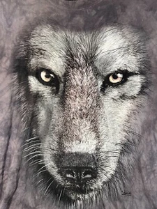 Vintage 2011 THE MOUNTAIN David Penfound Alaska T-Shirt Adult Size 2XL ~ Nice - Picture 1 of 13