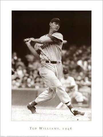 TED WILLIAMS 1946 Boston Red Sox Premium Historic B&W 24x30 POSTER Print Cover