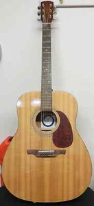 Alvarez RD-10 Dreadnought Acoustic 6-String Guitar with Hard Case - Picture 1 of 13