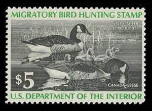 SCOTT #RW43 - $5.00 1976 DUCK STAMP - F-VF NH - Picture 1 of 2