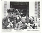 Great Muppett Caper  Rare Press  Photo  10X8 Vintage Still  Kermit