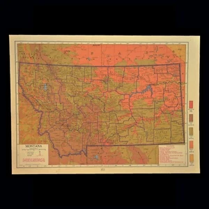 Vintage MONTANA Map Topographic Wall Art Original 1920s Antique Flathead Lake - Picture 1 of 5