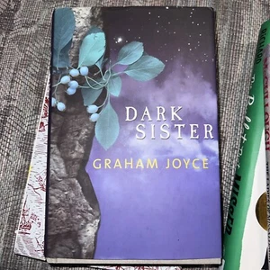 DARK SISTER Graham Joyce 1st/1st 1999 TOR HC - Bild 1 von 5