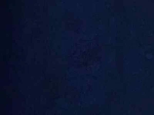 Indigo genuine - Kremer Artist Dry Powder Pigments - Picture 1 of 3