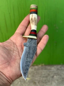 Custom Hand Forged Damascus Steel Fix Blade Knife Stag Antler Handle -Just Knife - Picture 1 of 5