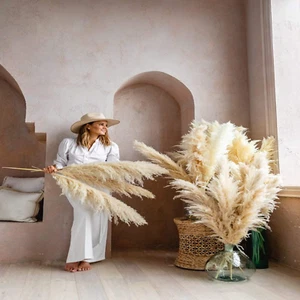 5pcs Tall Large Pampass GRASS 2-4ft | Grand Sale | Dry Florals For Home Décor - Picture 1 of 2