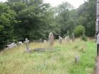 Photo 6x4 Sampford Spiney, churchyard Not as unkempt as it appears; grass c2010