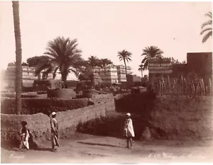 Zangaki. Egypte. Egypt. Village de Louksor. Photo Animée Albuminée 21,2x27,7cm - Imagen 1 de 1
