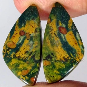 25.70Cts. 100% Natural Blood Stone Pair Fancy Gemstone Cabochon 14X29X4MM - Picture 1 of 4