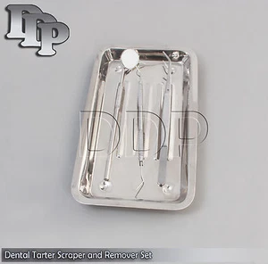 New 4 PCS Dental Tarter Scraper and Remover Set Surgical Dental Instrumen,PR-195 - Picture 1 of 2