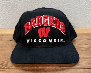 Wisconsin Badgers Hat Adult Black Snapback Dad Cap Embroidered NCAA College - Picture 1 of 10