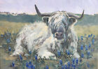 Oil Painting Highland Cow Blue Bonnet Flowers Ranch Farm Barnyard Western 9x12