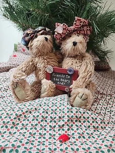 2 Teddybären "Friends to the Beary End" Teddybär Plüsch - Bild 1 von 8