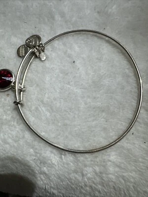 Alex  Ani Silver Ruby Red July Birthstone  Swarvoski Crystal Charm  Bracelet ✨️ - Image 1 of 4