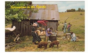 Hillbilly Arkansas Missouri Ozarks / brocca per maiali tempo del bagno andare a pesca cartolina - Foto 1 di 2